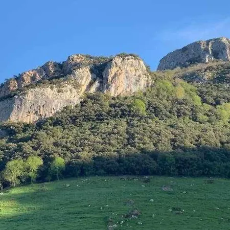 Apartment Cumbres De Picos. ¨los Abedules¨
