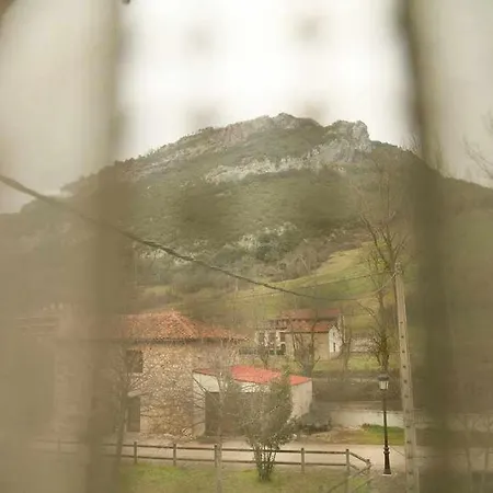 Cumbres De Picos. ¨los Abedules¨ Poo (Cabrales)