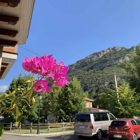 Cumbres De Picos Abedules Poo (Cabrales)
